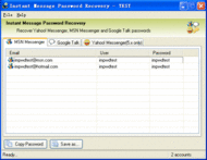 MSN and Google Talk Password Recovery screenshot